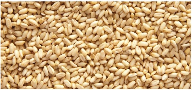 Turkse asure tarwe van Sezer Agro (900 gram)