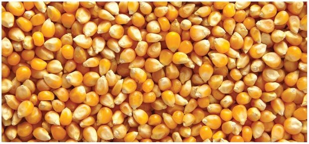 Turks mais popcorn van Sezer Agro ( 900 gram)
